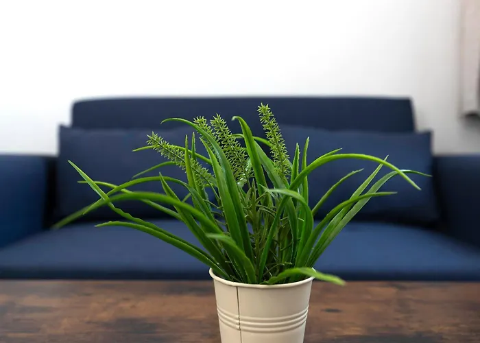 Middlesbrough House TEESSIDE